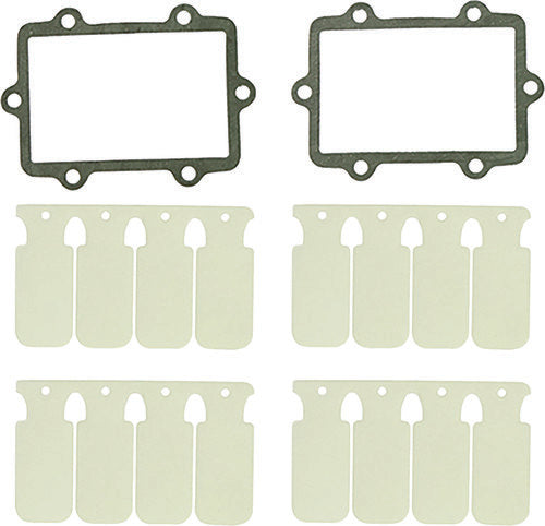 SP1 Reed Valve Rebuild Kit - SM-07301