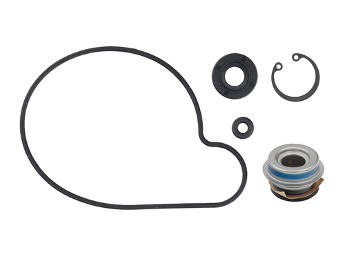 SP1 Water Pump Repair Kit - 10-721216