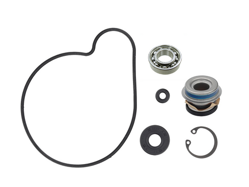 SP1 Water Pump Repair Kit - 10-721267