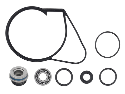 SP1 Water Pump Repair Kit - 10-721313