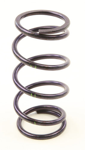 SPEEDWERX H5 Alloy Primary Clutch Spring - CCH5-B-180-300