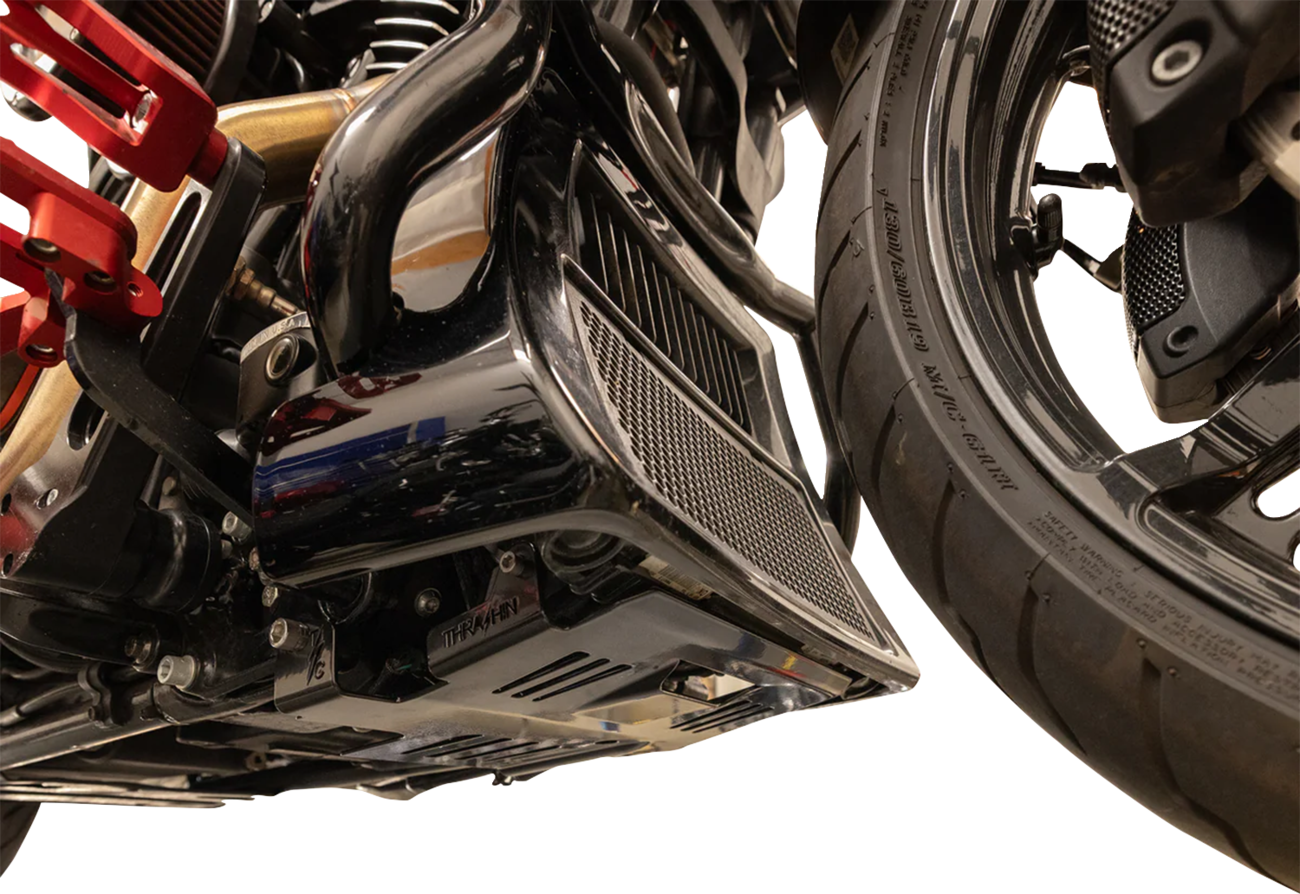 THRASHIN SUPPLY CO. Skid Plate - Black / HD Touring 0506-2620