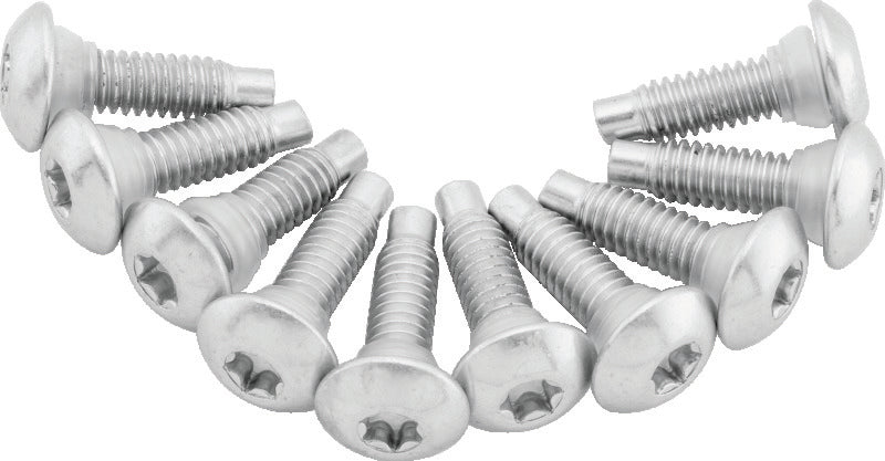TwinPower Twin Power 2001-2017 Softail Models 2002-2007 FLH FLHT Fuel Pump Plate Screw Kit Replaces H-D 1311D - 046268