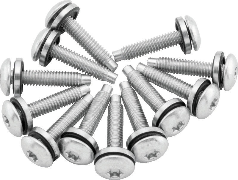 TwinPower Twin Power 2004-2017 Dyna Models Fuel Pump Plate Screw Kit Replaces H-D 1331 - 046269