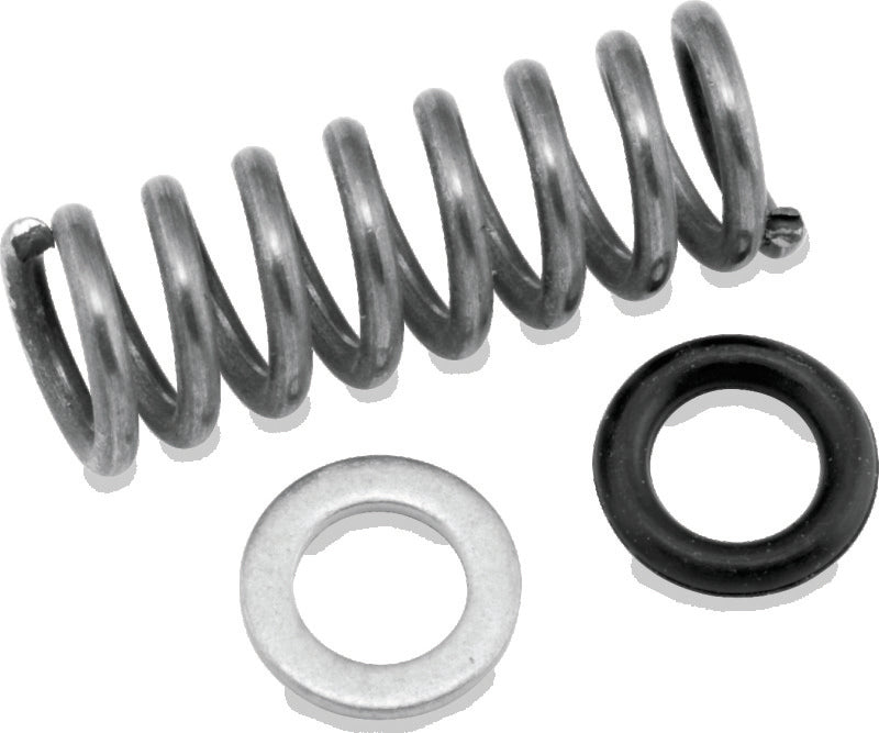 TwinPower Twin Power Big Twin and XL with CV Carburetor Idle Mixture Needle Repack Kit - 420819