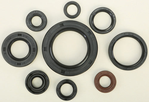 VERTEX Oil Seal Kit - 822268