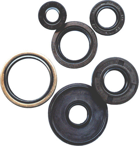 VERTEX Oil Seal Kit - 822349