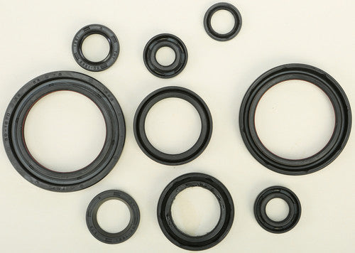 VERTEX Oil Seal Kit - 822357