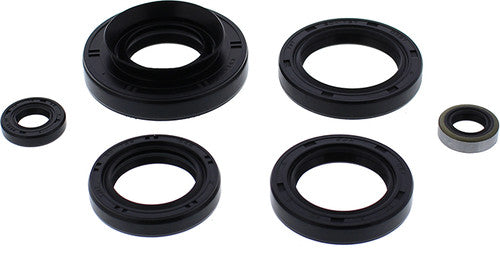 VERTEX Oil Seal Kit - 822366