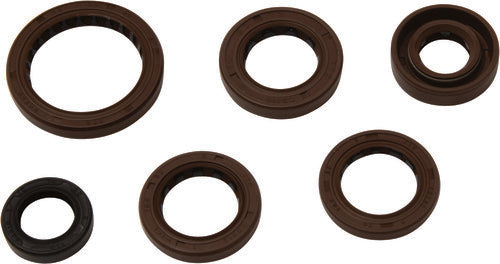 VERTEX Oil Seal Kit - 822367