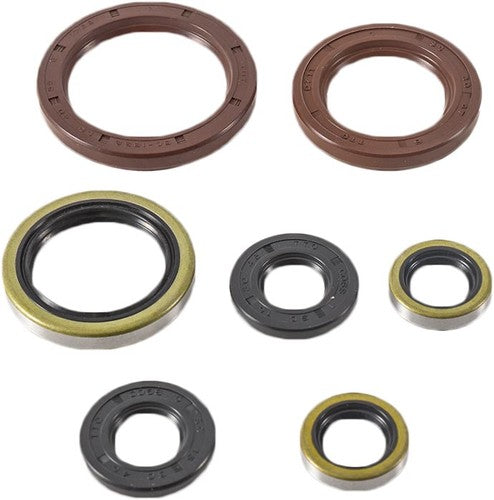 VERTEX Oil Seal Kit - 822372