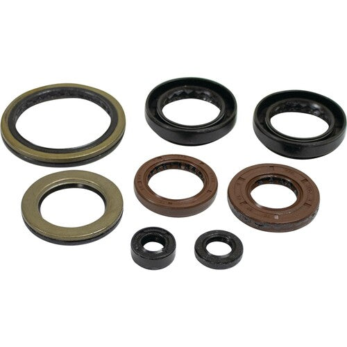 VERTEX Oil Seal Kit - 822402