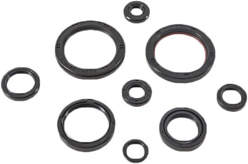 VERTEX Oil Seal Kit - 822989