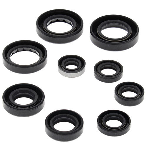 VERTEX Oil Seal Set - 822341