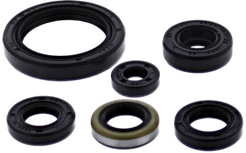 VERTEX Oil Seal Set - 822379