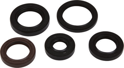 VERTEX Oil Seal Set - 822394
