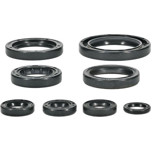 VERTEX Oil Seal Set - 822996