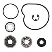 VERTEX Water Pump Rebuild Kit - 821928