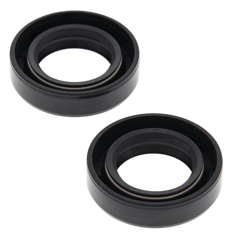 Vertex Pistons Vertex Gaskets 1976-1983 Moto Ski Spirit FC/1 Oil Seal Kit - 55156