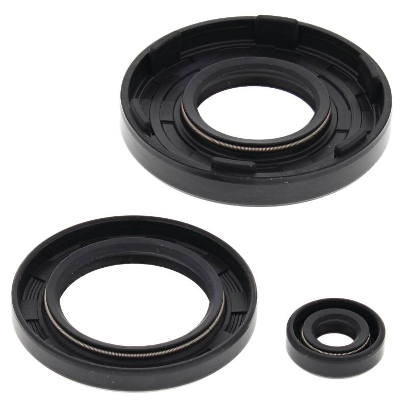 Vertex Pistons Vertex Gaskets 1991-1993 Arctic Cat Cheetah Touring Oil Seal Kit - 55111