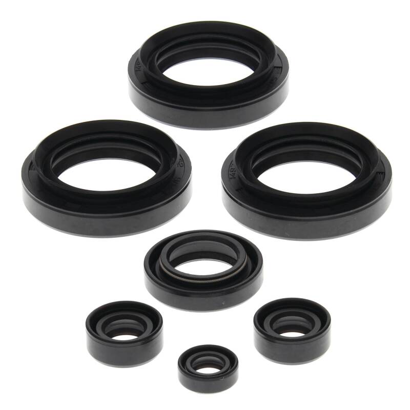 Vertex Pistons Vertex Gaskets 1999-2005 Arctic Cat 250 2x4 Oil Seal Kit - 822145