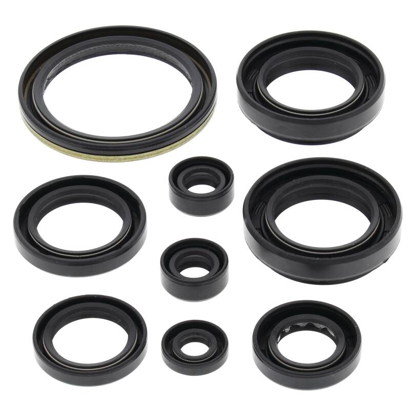 Vertex Pistons Vertex Gaskets 2000-2002 Arctic Cat 500 4x4 w/AT Oil Seal Kit - 822259