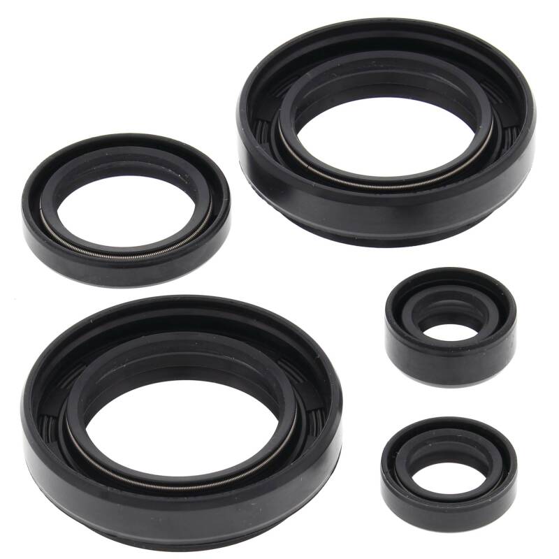 Vertex Pistons Vertex Gaskets 2003-2004 Arctic Cat 400 4x4 w/MT Oil Seal Kit - 822234