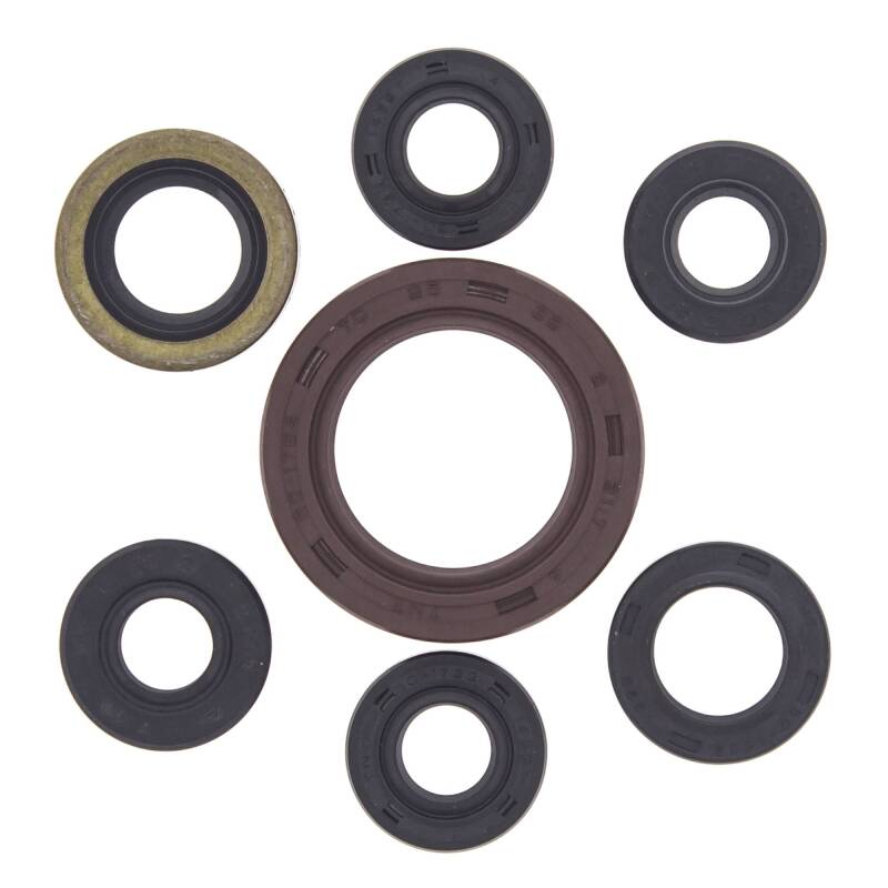 Vertex Pistons Vertex Gaskets 2004-2008 Arctic Cat 400 DVX Oil Seal Kit - 822201