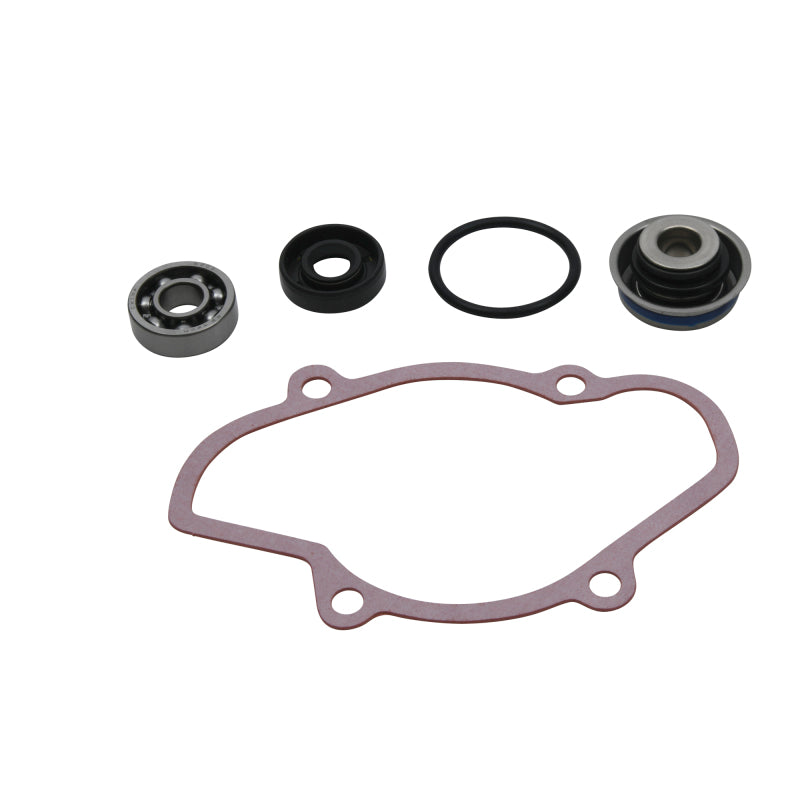 Vertex Pistons Vertex Gaskets 2016-2018 Ski-Doo Expedition 800 2-Stroke ETEC Water Pump Rebuild Kit - 721312