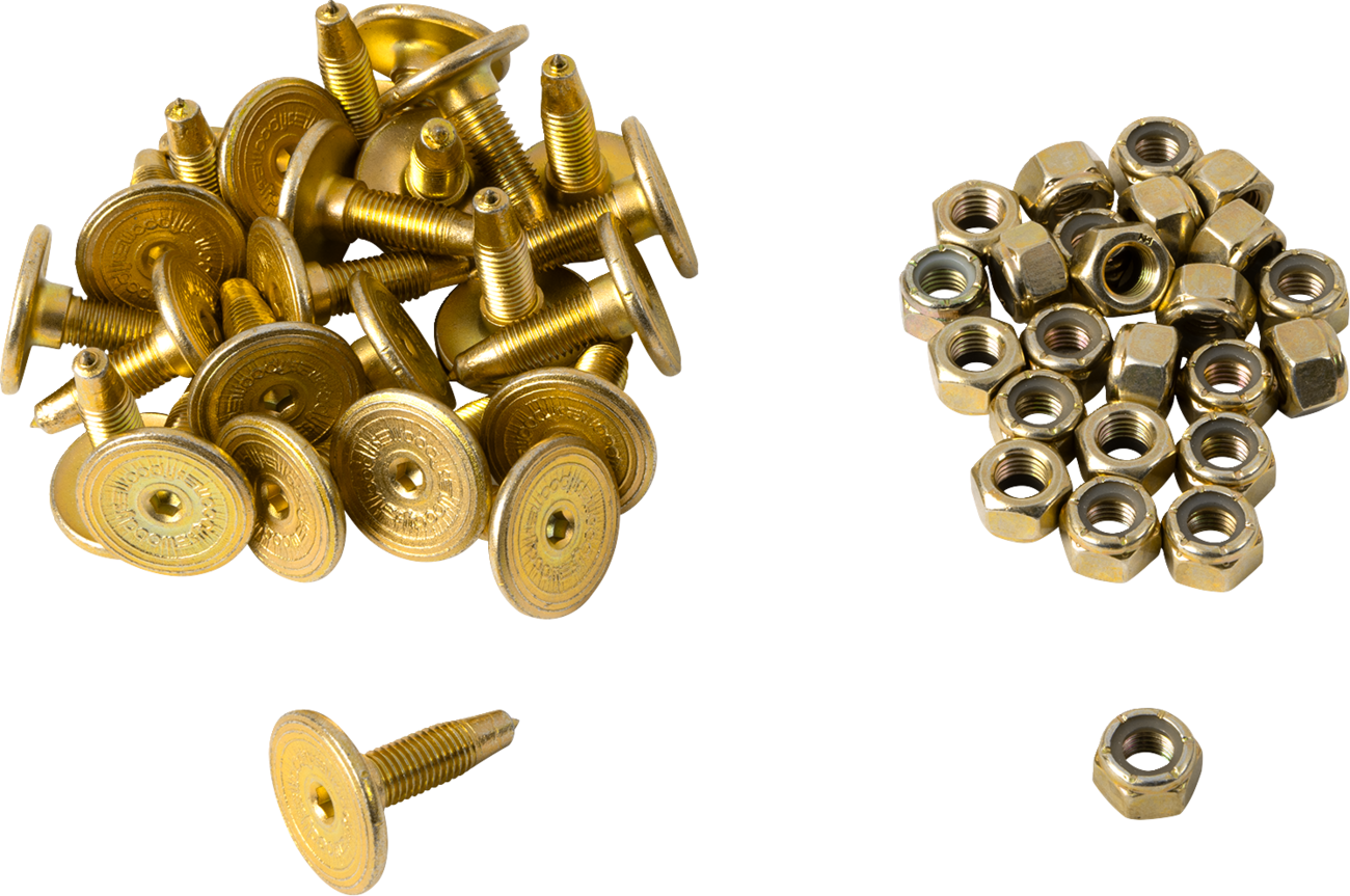 WOODY'S Gold Digger® Traction Master® Carbide Studs