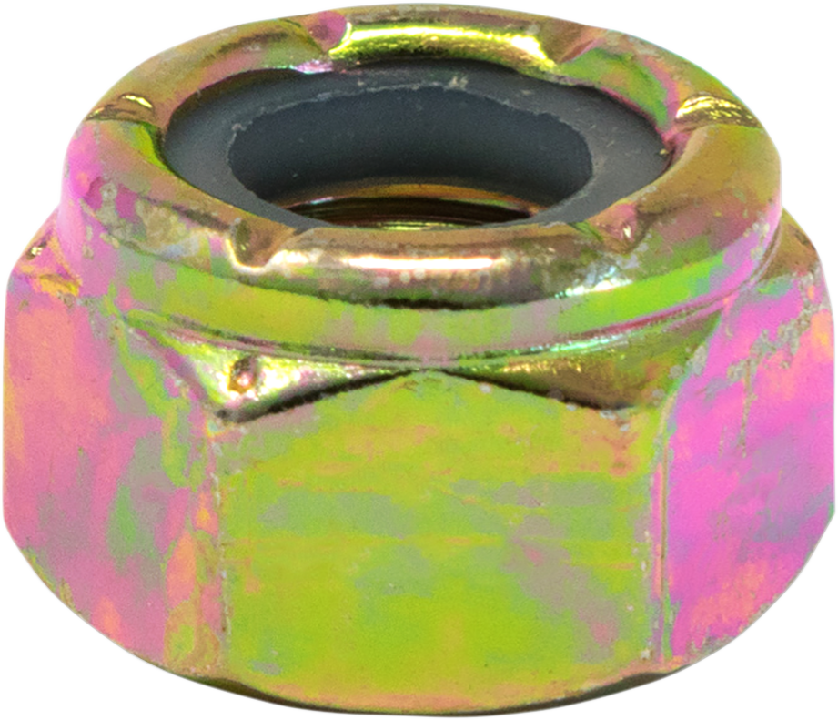 WOODY'S Locknuts - 5/16" / 48 Pack 1250-0472