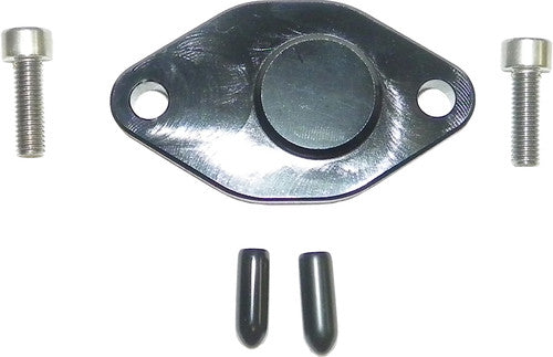 WSM Oil Injection Block Off Plate - 011-211