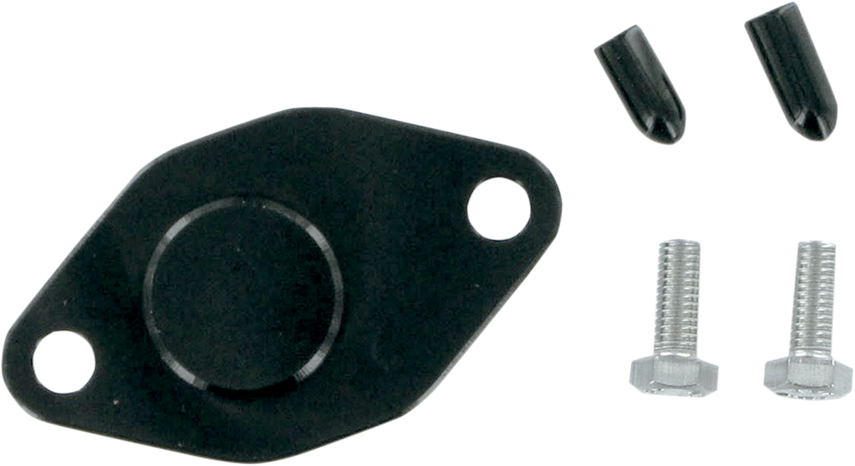 WSM Oil Injection Block Off Plate