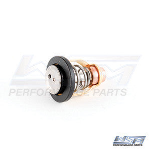 WSM Thermostat - 004-260