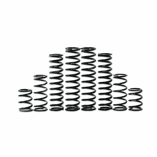 ZBROZ Dual Rate Spring Kit - K30-KA1001-0