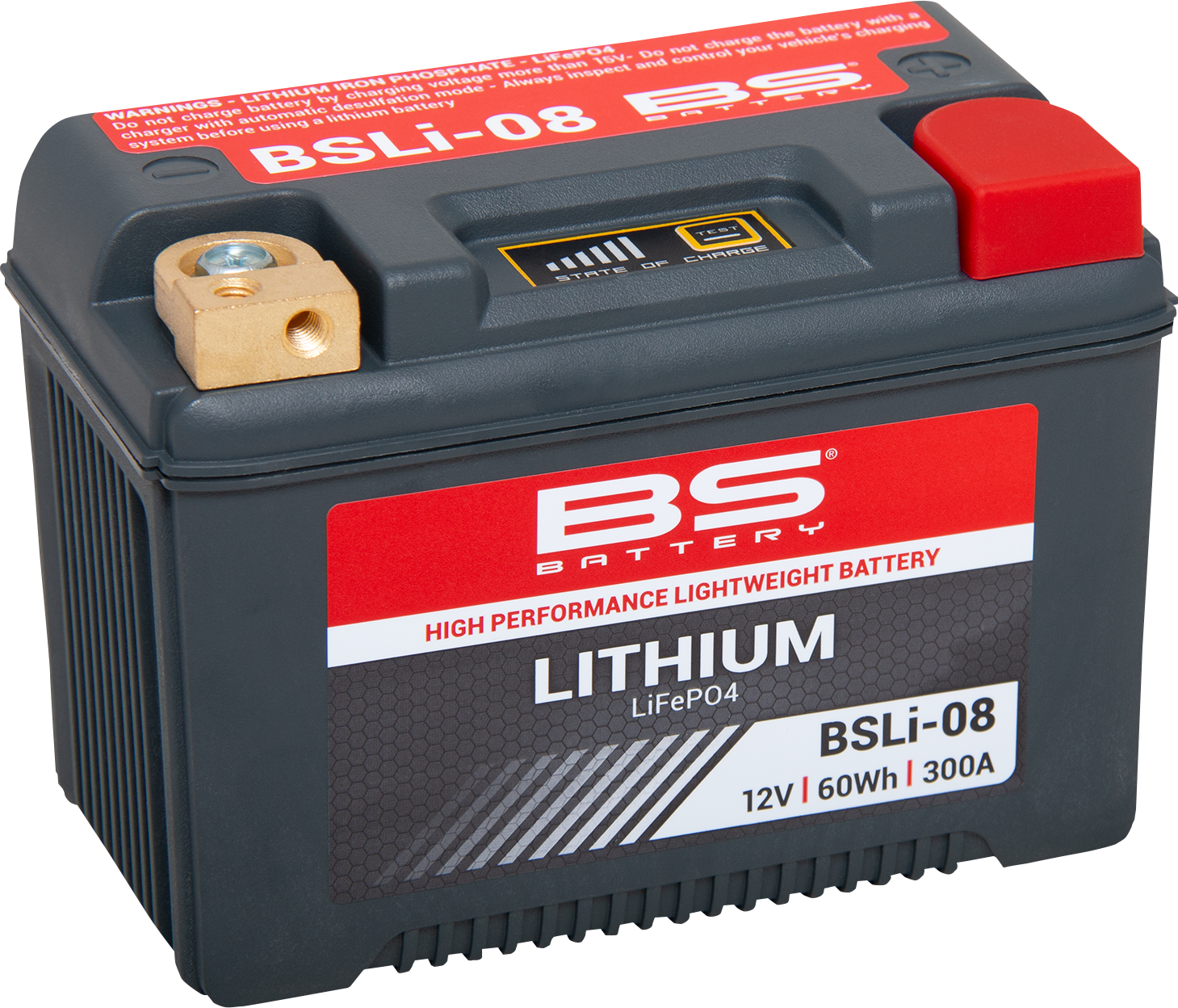 BS BATTERY Lithium LiFePO4 Battery