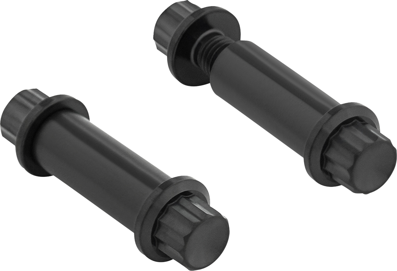 ARLEN NESS Bolt Kit - Footpeg / 12-Point / Titanium / Black 2401-1776