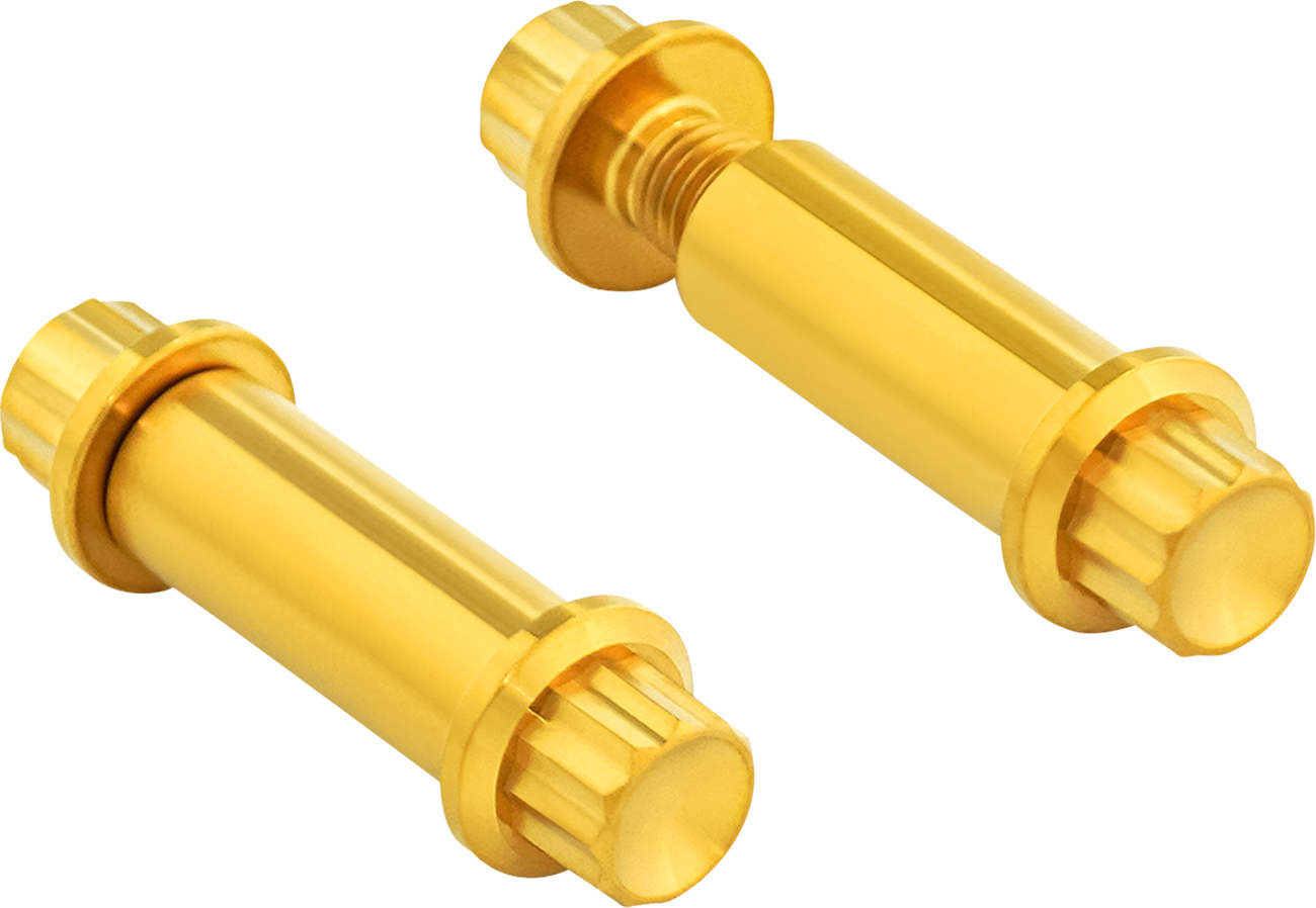 ARLEN NESS Bolt Kit - Footpeg / 12-Point / Titanium / Gold 2401-1777