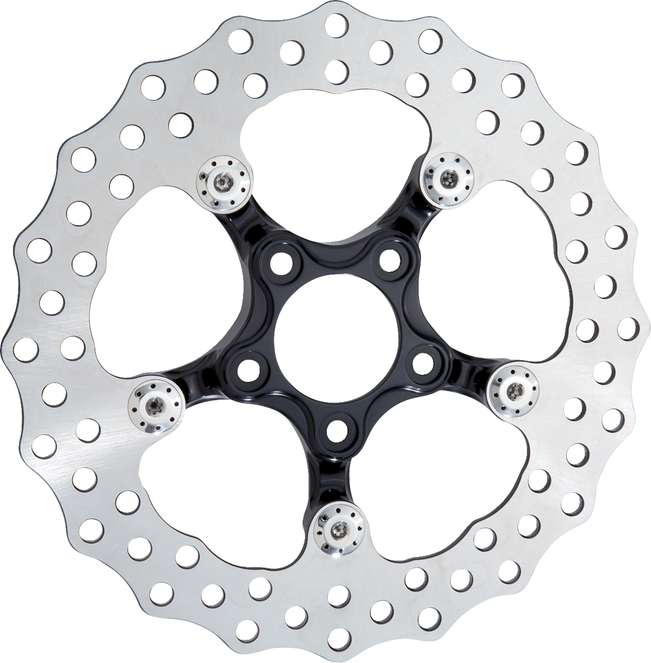 ARLEN NESS Spider Rotor - 11-1/2" / Black 1710-4701