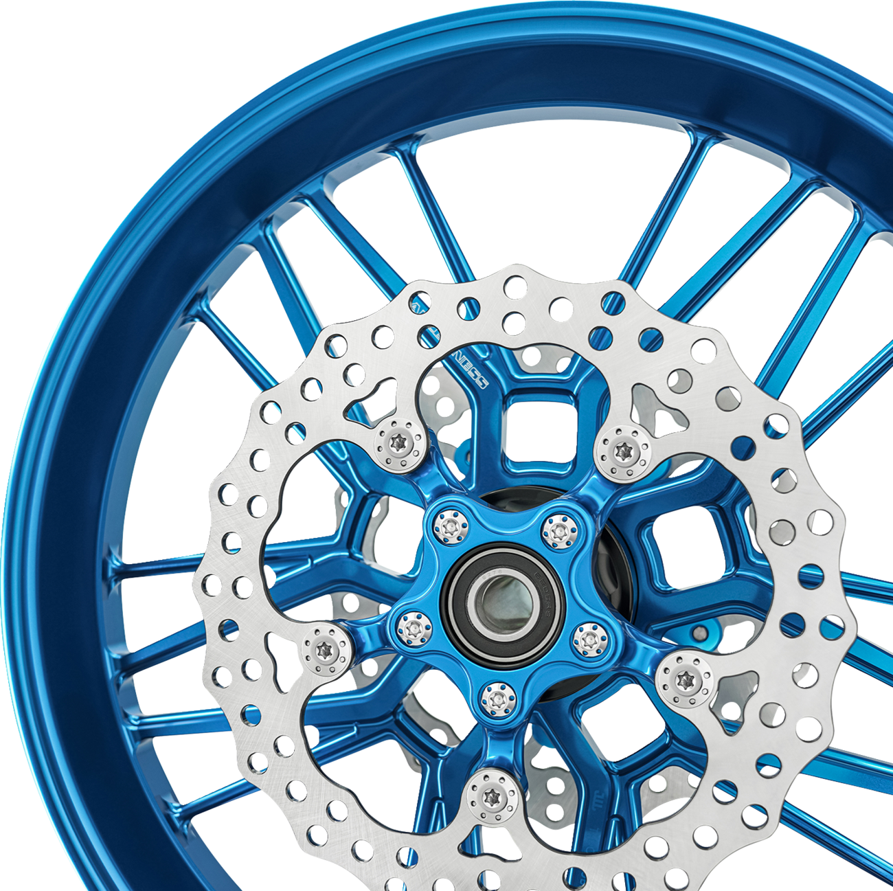 ARLEN NESS Spider Rotor - 11.8" / Blue 1710-4706