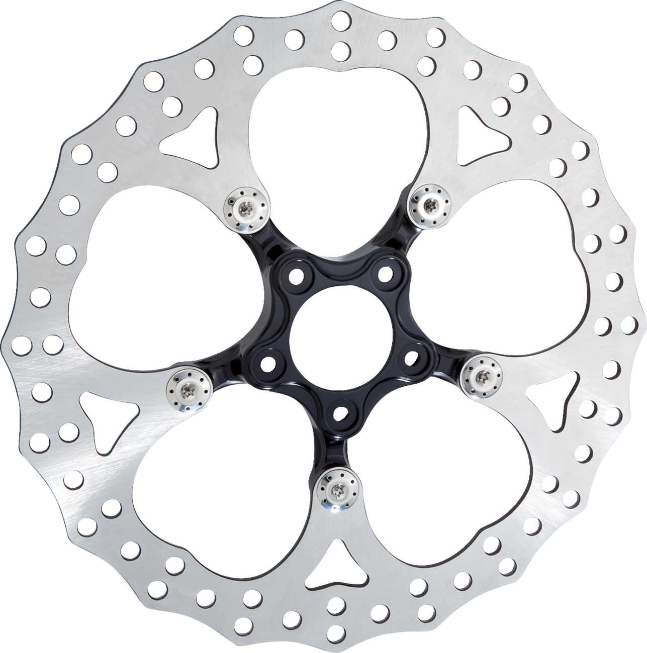 ARLEN NESS Spider Rotor - 14" / Black 1710-4703
