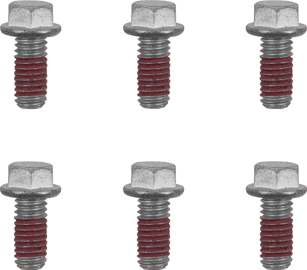 MOTO-MASTER Brake Rotor Bolts - Bolts / Brake Rotor / Torx / M6 x 13 / 6-Pack 2401-1613