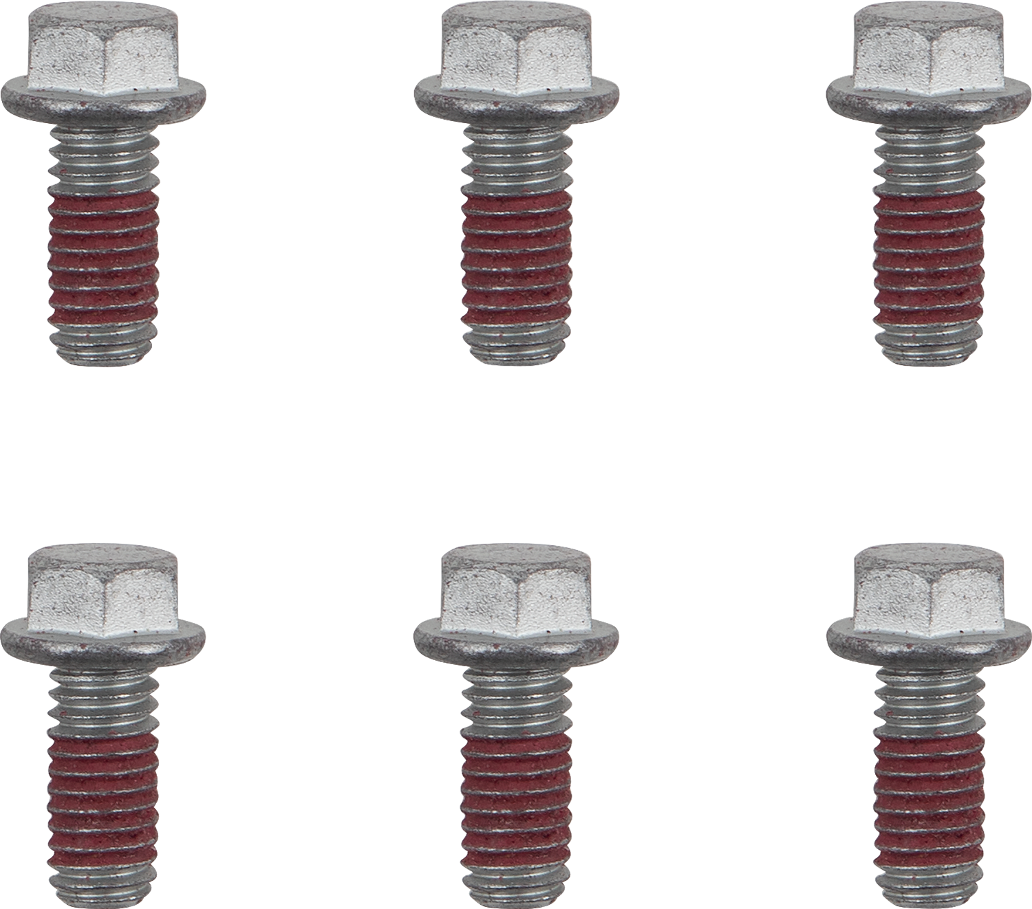 MOTO-MASTER Brake Rotor Bolts - Bolts / Brake Rotor / Torx / M6 x 13 / 6-Pack 2401-1613