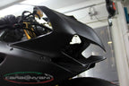 CARBONVANI - DUCATI 1199/899 PANIGALE CARBON FIBER HEADLIGHT FAIRING - ROAD VERSION