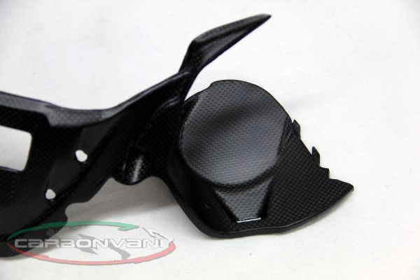 CARBONVANI - DUCATI 1199 PANIGALE CARBON FIBER INSTRUMENT COVER