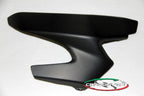 CARBONVANI - DUCATI MONSTER 1200 /S CARBON FIBER SWINGARM GUARD (14-16)