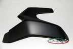 CARBONVANI - DUCATI MONSTER 1200 /S CARBON FIBER SWINGARM GUARD (14-16)