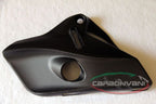 CARBONVANI - DUCATI MONSTER 821 / 1200 CARBON FIBER COOLANT TANK COVER