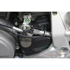 CARBONVANI - DUCATI PANIGALE 1199 / 1299 / V2 and STREETFIGHTER V2 CARBON FIBER SPROCKET COVER