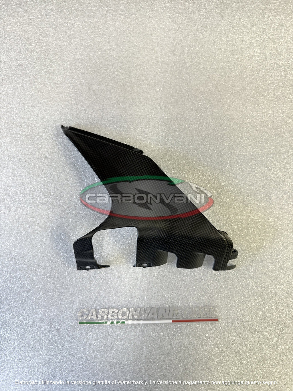 Carbonvani - Ducati Panigale / Streetfighter V4 Carbon Fiber Exhaust Delete Inserts (2025+)